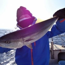 鯛紅丸 釣果