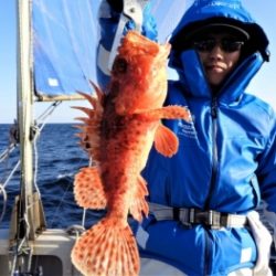 鯛紅丸 釣果