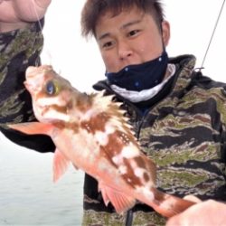 鯛紅丸 釣果
