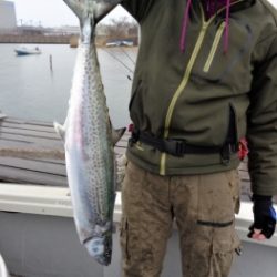 鯛紅丸 釣果