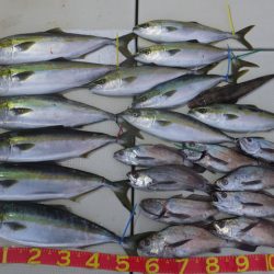 Hit Rush(ヒット ラッシュ) 釣果