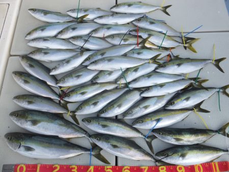 Hit Rush(ヒット ラッシュ） 釣果…