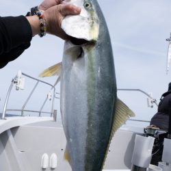 まるいち丸 ZERO-1 釣果