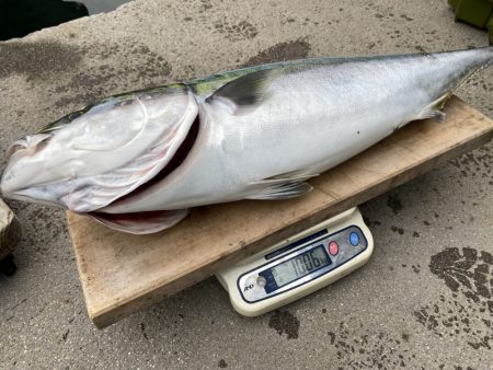 まるいち丸 ZERO-1 釣果