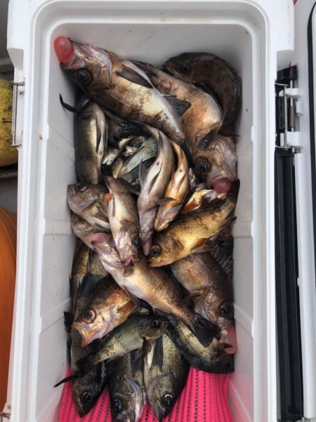 フィッシング キッタカ 釣果