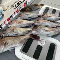 遊漁船 セトマリン 釣果