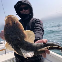 Magic（マジック） 釣果