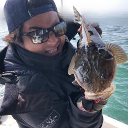 Magic（マジック） 釣果