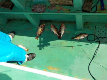 第二むつ漁丸 釣果