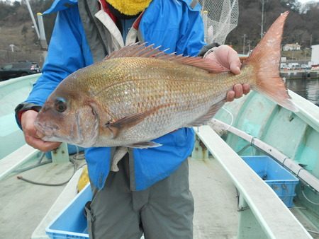 こうゆう丸 釣果
