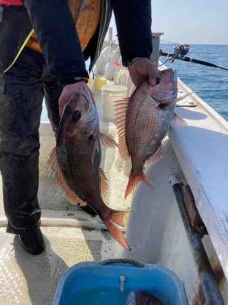 龍宮丸 釣果