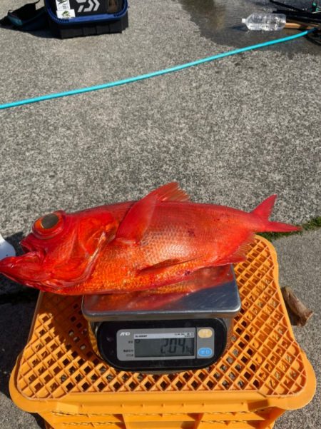 番匠高宮丸 釣果