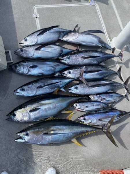 へいみつ丸 釣果