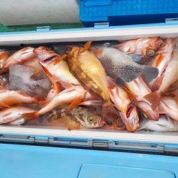 第二むつ漁丸 釣果