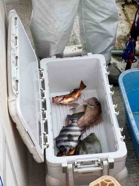 龍宮丸 釣果