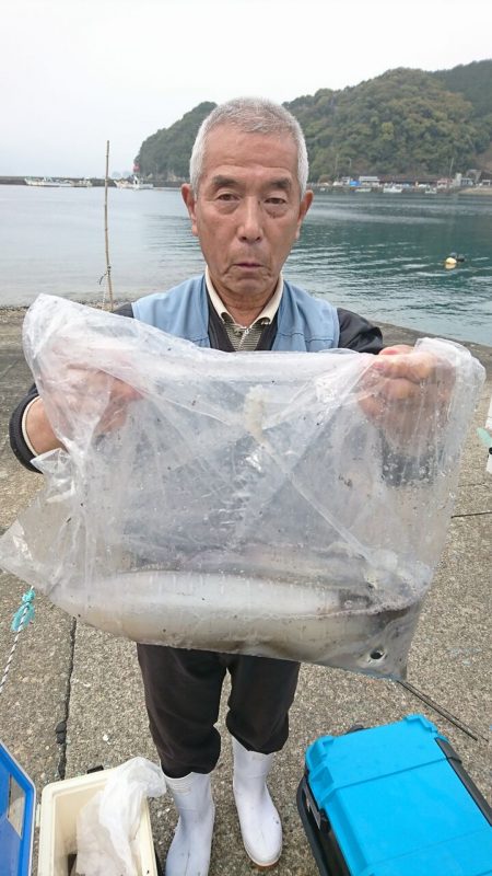 筏マルキ 釣果