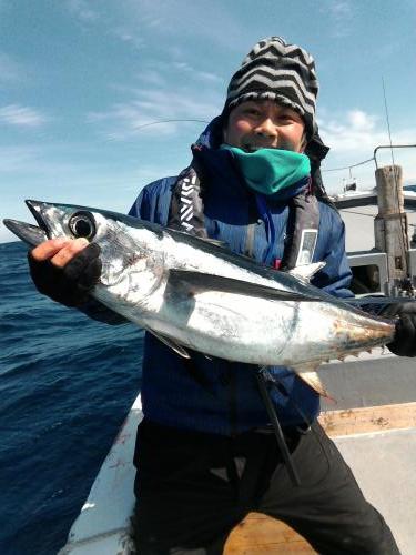 ファイヤードルフィン 釣果