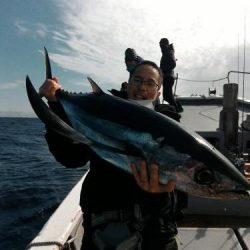 ファイヤードルフィン 釣果