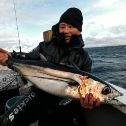 ファイヤードルフィン 釣果