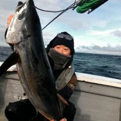 ファイヤードルフィン 釣果