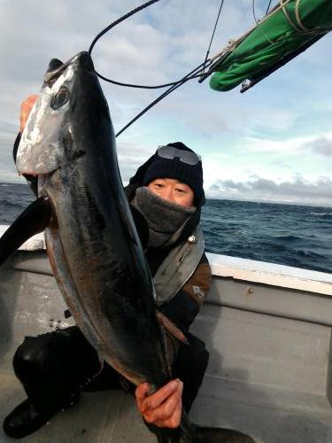 ファイヤードルフィン 釣果