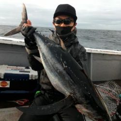 ファイヤードルフィン 釣果