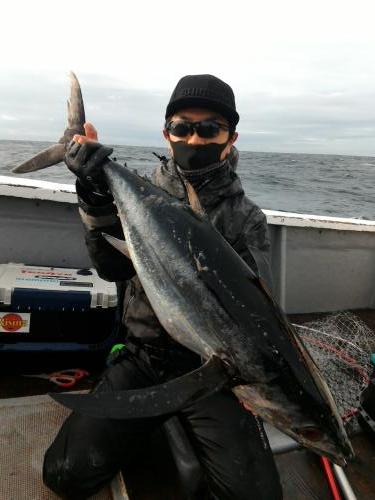 ファイヤードルフィン 釣果