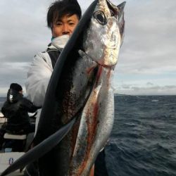 ファイヤードルフィン 釣果