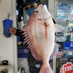 遊漁船 ニライカナイ 釣果