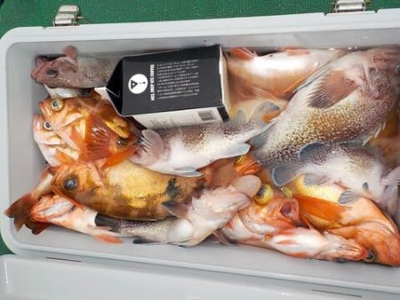 第二むつ漁丸 釣果