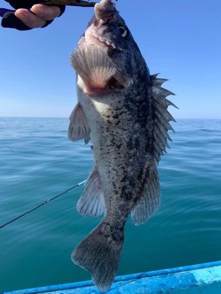 宝昌丸 釣果