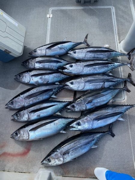 へいみつ丸 釣果