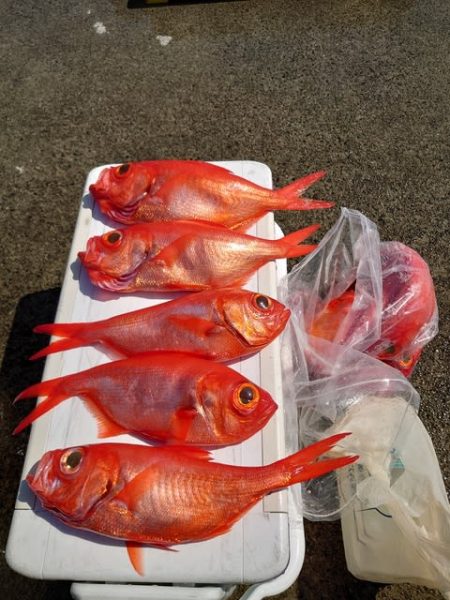 三昭丸 釣果