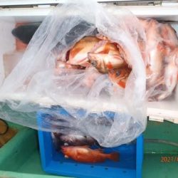 第二むつ漁丸 釣果