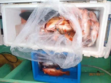 第二むつ漁丸 釣果