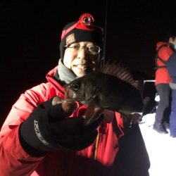 Magic(マジック) 釣果