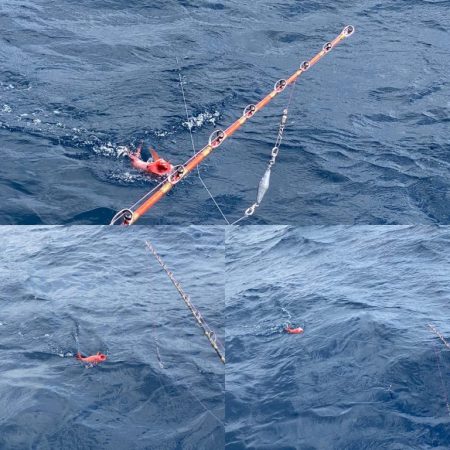 番匠高宮丸 釣果