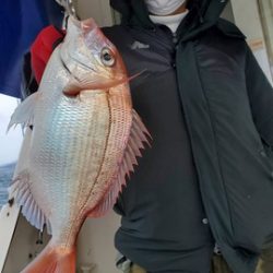 遊漁船　ニライカナイ 釣果