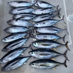 へいみつ丸 釣果