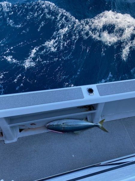 へいみつ丸 釣果