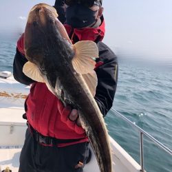 Magic（マジック） 釣果