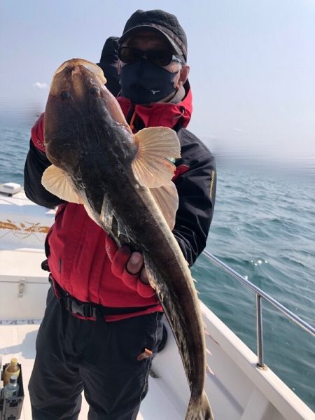 Magic（マジック） 釣果