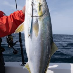 まるいち丸 ZERO-1 釣果