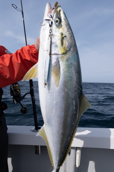 まるいち丸 ZERO-1 釣果