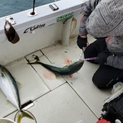 遊漁船　ニライカナイ 釣果