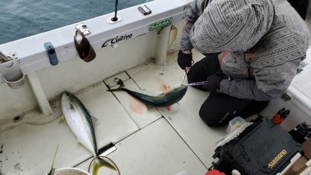 遊漁船　ニライカナイ 釣果