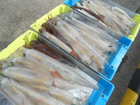 こうゆう丸 釣果