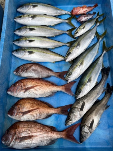 まるいち丸 ZERO-1 釣果