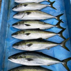 まるいち丸 ZERO-1 釣果