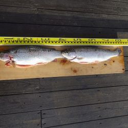 志高湖フィッシング 釣果